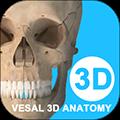 维萨里3d解剖安卓版